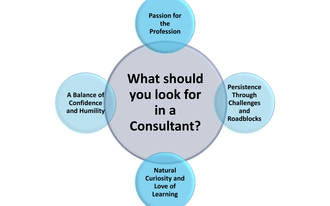 Top Four Qualities That Set IT Consultants Apart